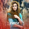 Zeno Music – Zurna (Oriental Beat Balkan Dancehall Instrumental)